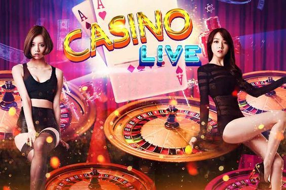 Crazy Monkey Wild Slot Live Casino